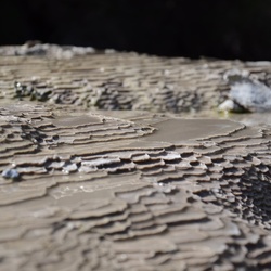 2017-03 New Zealand/Waiotapu/DSC_0363.JPG